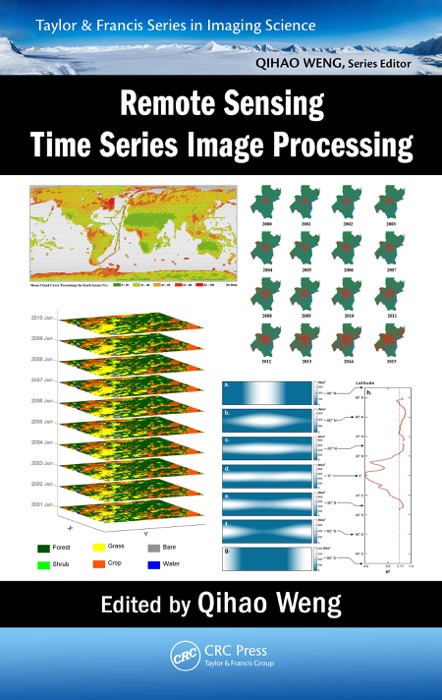 Remote Sensing Time Series Image Processing