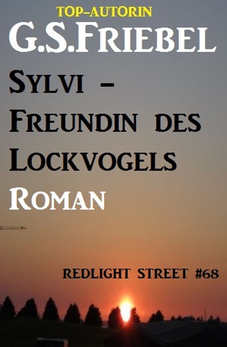 Sylvi - Freundin des Lockvogels: Redlight Street #68