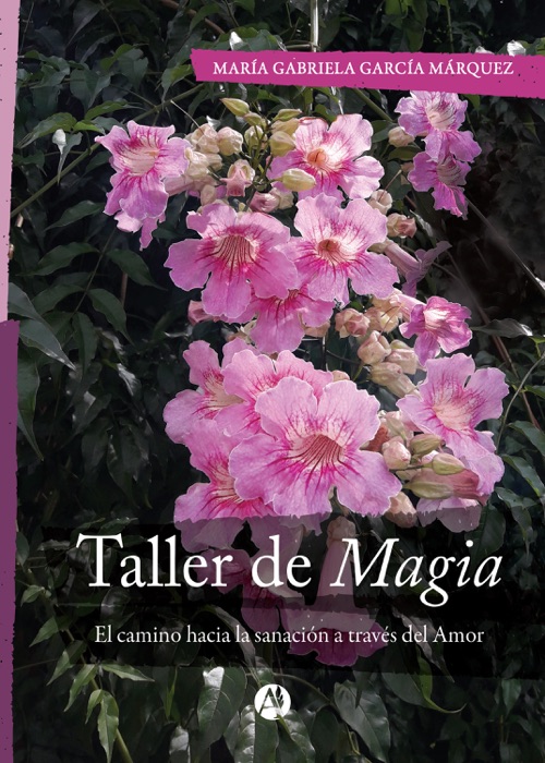 Taller de Magia