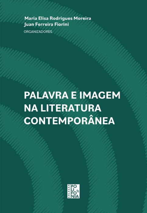 Palavra e imagem na literatura contemporânea