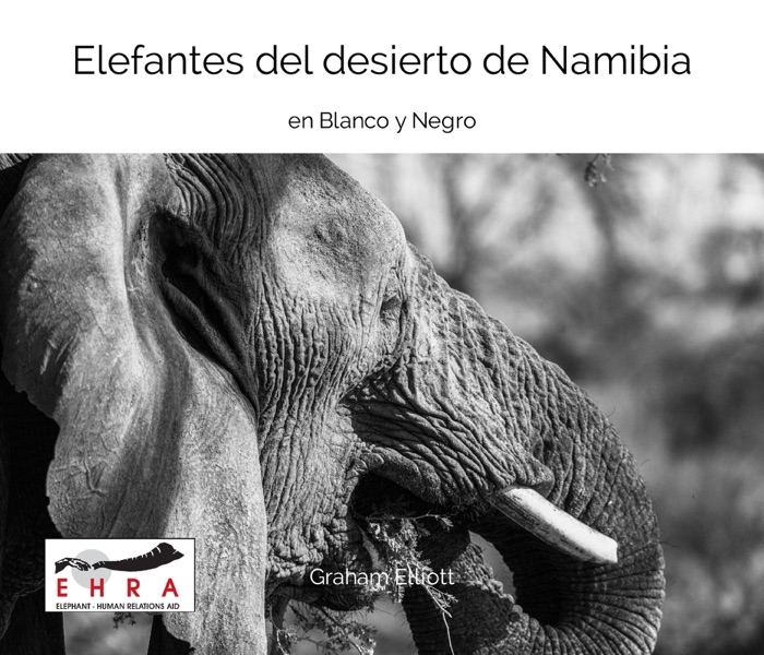 Elefantes del desierto de Namibia