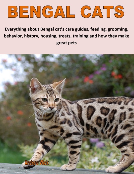 Bengal Cats