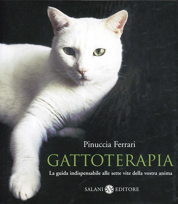 Gattoterapia