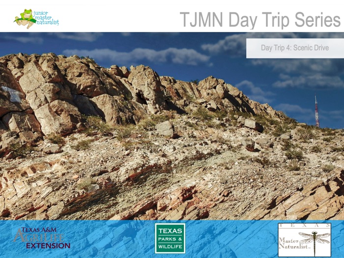 TJMN Day Trip 4: Scenic Drive