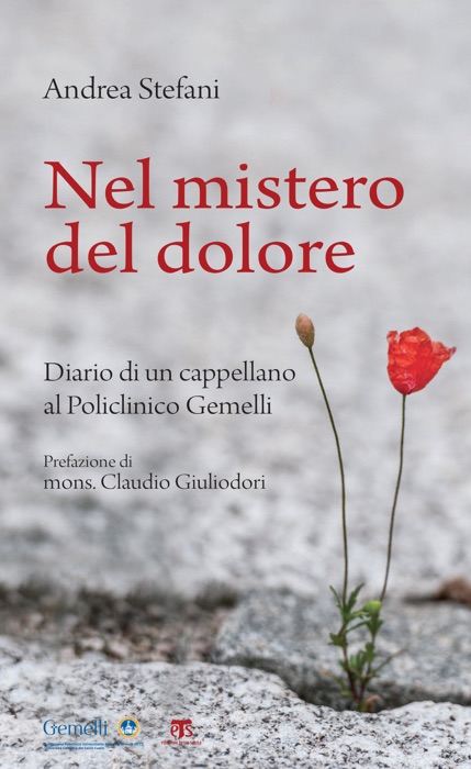 Nel mistero del dolore