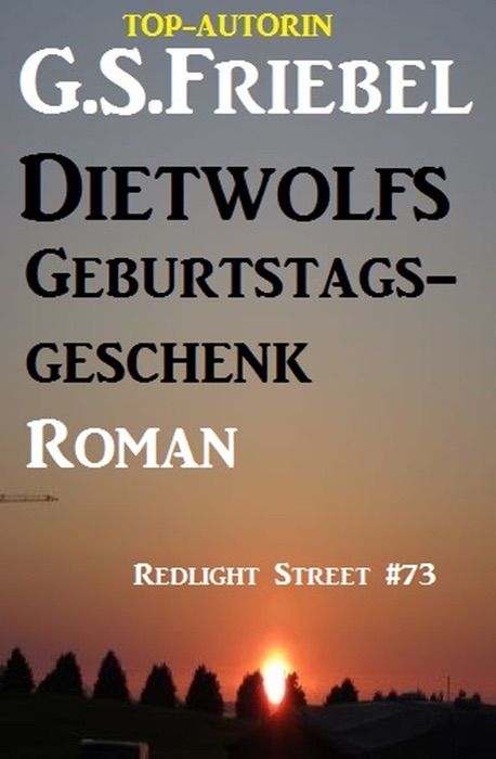 Dietwolfs Geburtstagsgeschenk: Redlight Street #73