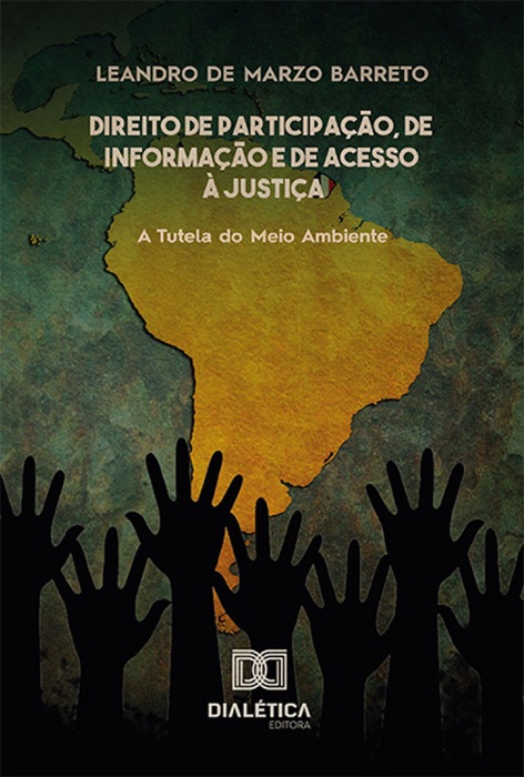 Direito de participação, de informação e de acesso à justiça