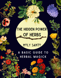 The Hidden Power of Herbs