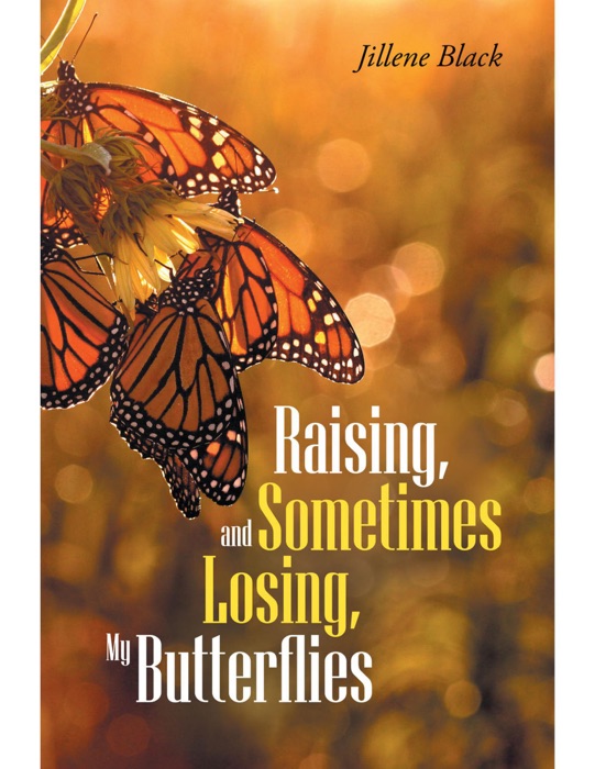 Raising, and Sometimes Losing, My Butterflies