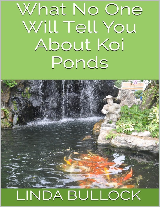 What No One Will Tell You About Koi Ponds