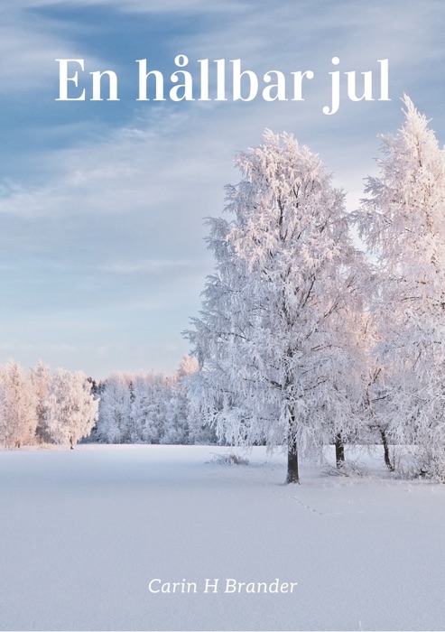 En hållbar jul