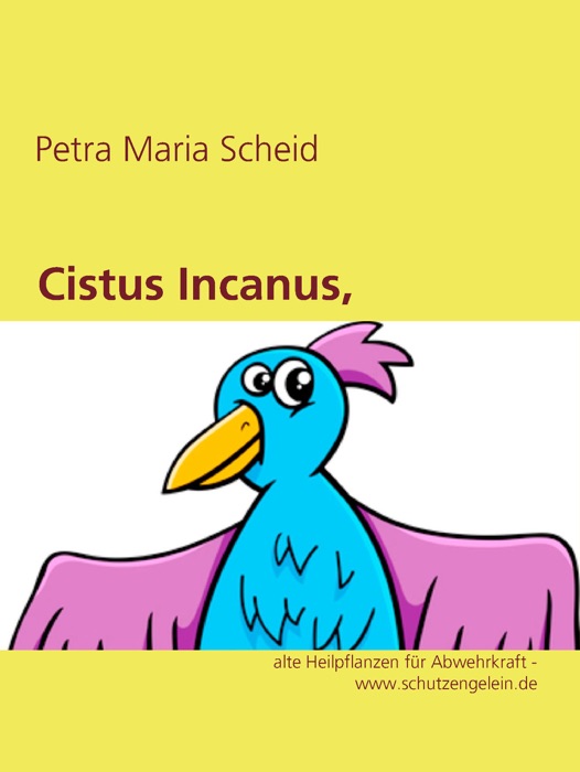Cistus Incanus, Zistrose