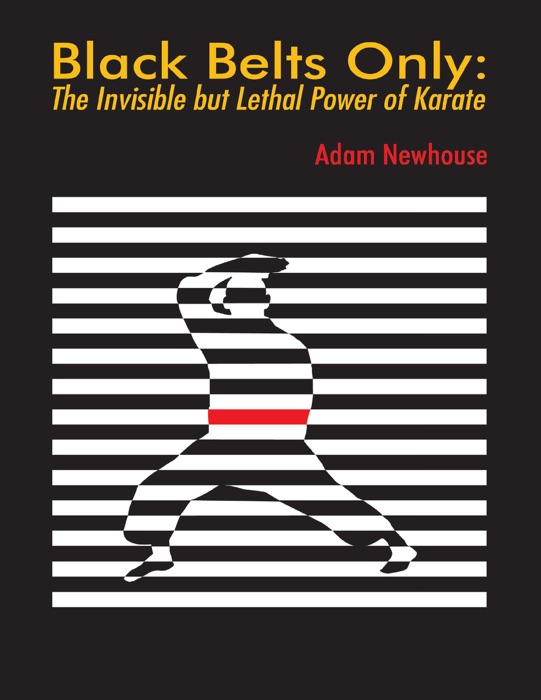 Black Belts Only: The Invisible But Lethal Power of Karate