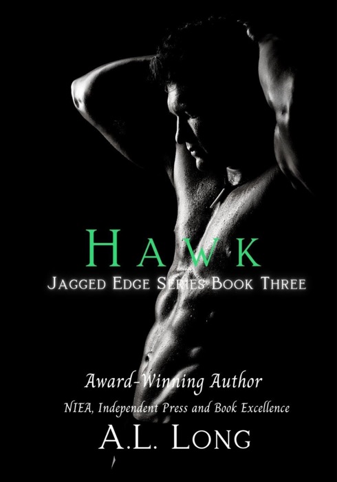 Hawk: Jagged Edge Series #3