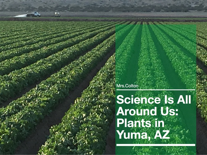 Science in Yuma -Plants.pages