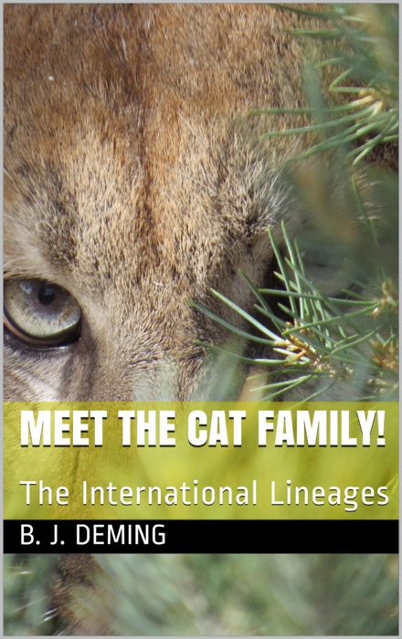 Meet The Cat Family: The International Lineages