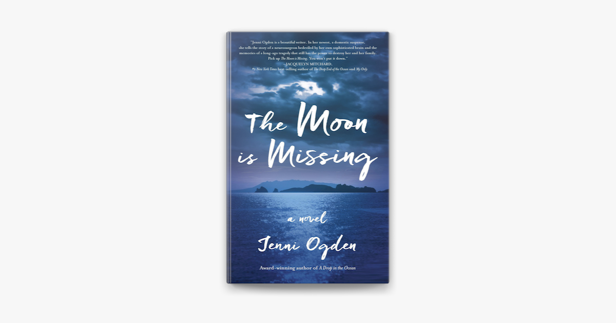 ‎The Moon is Missing A Novel on Apple Books
