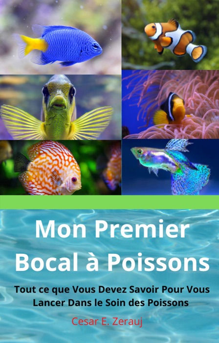 Mon Premier Bocal à Poissons    Tout ce que Vous Devez Savoir Pour Vous Lancer Dans le Soin des Poissons