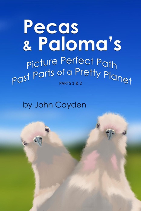 Pecas & Paloma's Picture Perfect Path Past Parts of a Pretty Planet