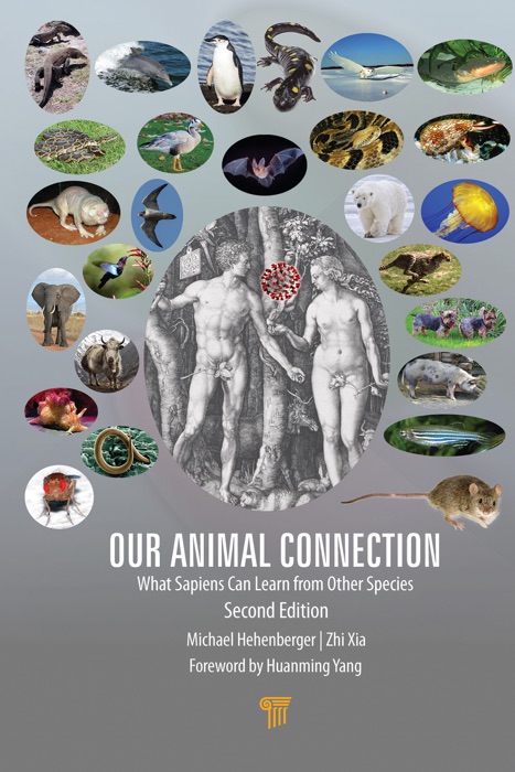 Our Animal Connection