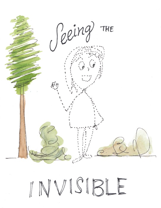 Seeing the Invisible