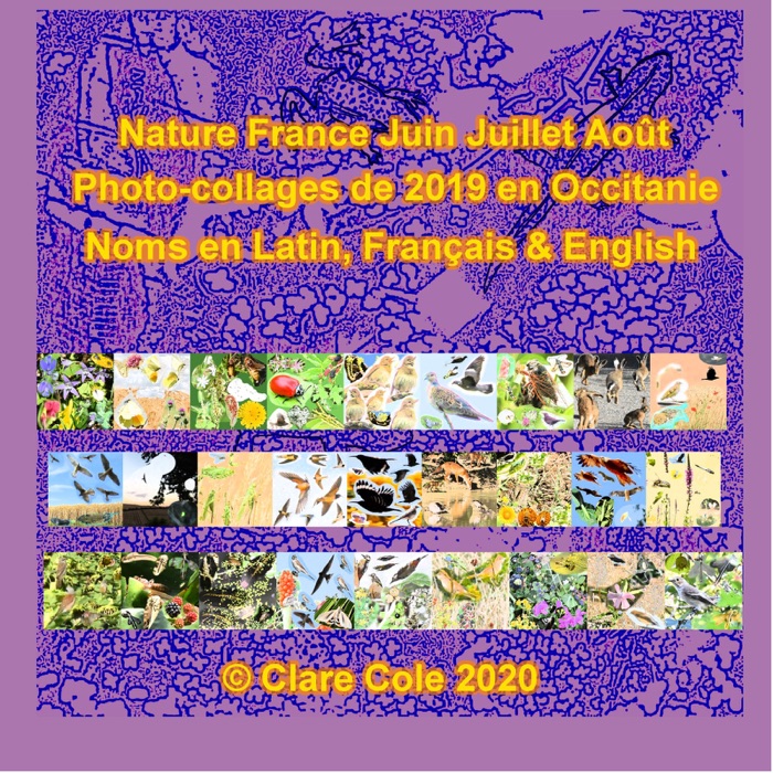 Nature France Summer Photo-Collages 2019