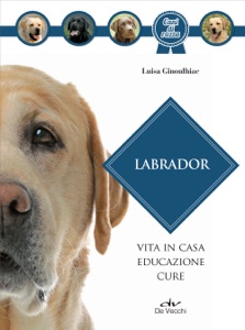 Labrador Book Cover