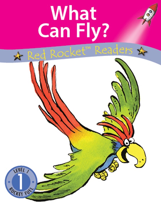 What Can Fly? (Readaloud)