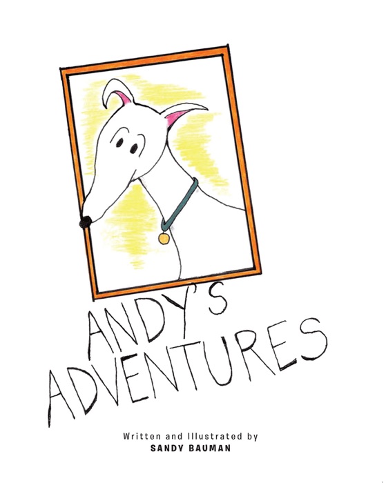 Andy's Adventures