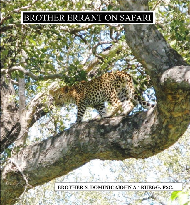 Brother Errant On Safari