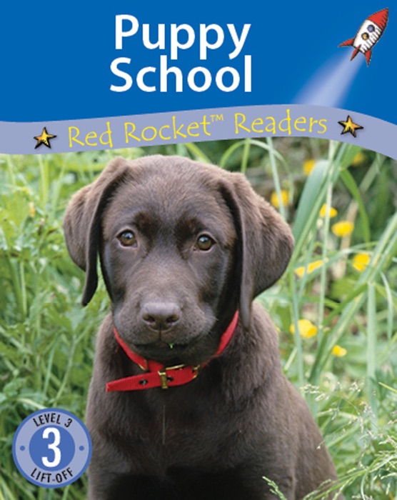 Puppy School (Readaloud)