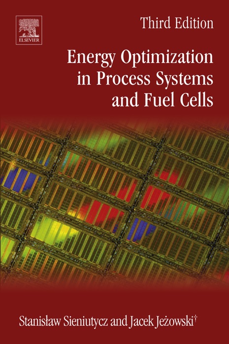 Energy Optimization in Process Systems and Fuel Cells