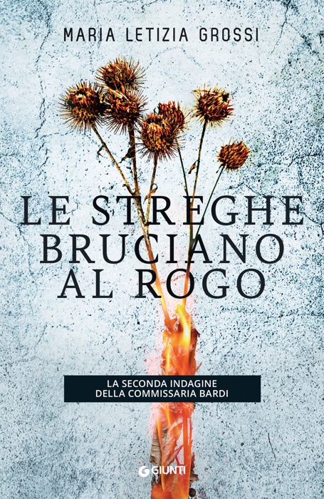 Le streghe bruciano al rogo