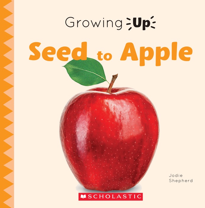 Seed to Apple (Growing Up)