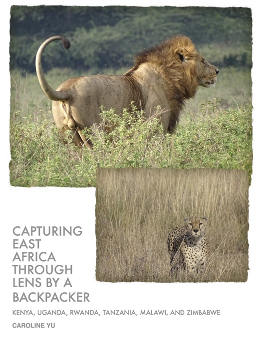 Capturing East Africa Through Lens by a Backpacker: Kenya, Uganda, Rwanda, Tanzania, Malawi, and Zimbabwe