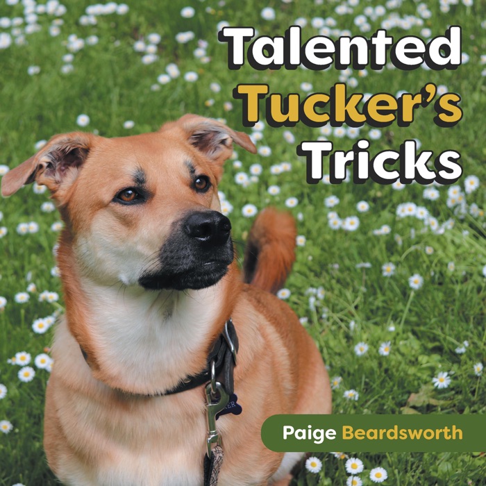 Talented Tucker's Tricks