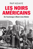 Les Noirs américains - Pap Ndiaye