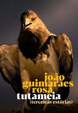 Capa do livro Tutaméia: Terceiras Estórias de João Guimarães Rosa