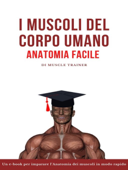 I Muscoli del Corpo Umano – Anatomia Facile - Muscle Trainer