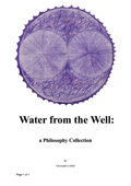 Water from the Well - Christopher LaMell