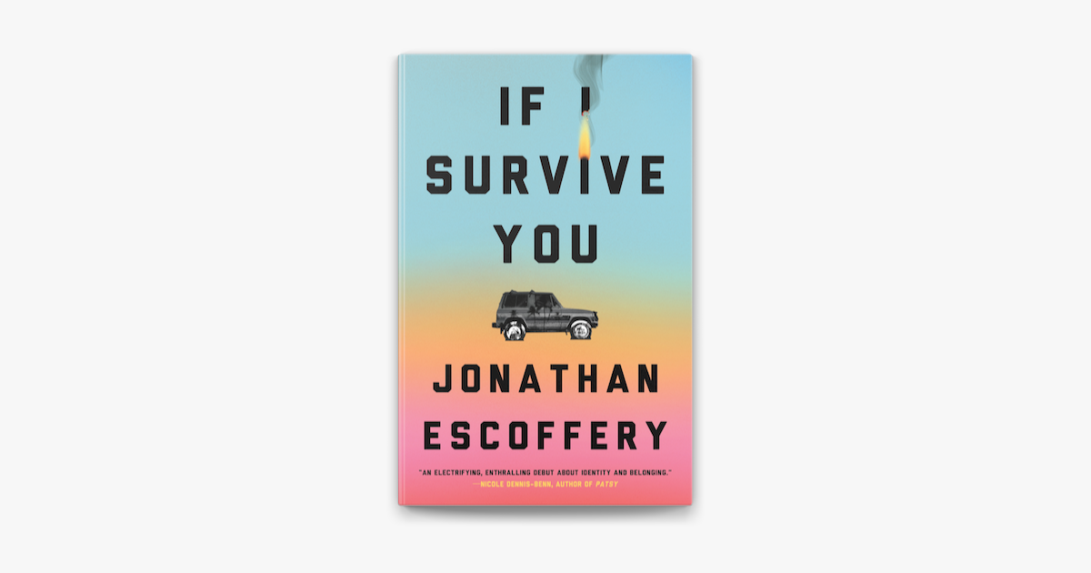 book review if i survive you