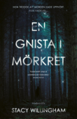 En gnista i mörkret - Stacy Willingham