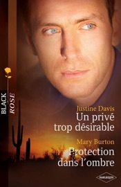 Un privé trop désirable - Protection dans l'ombre