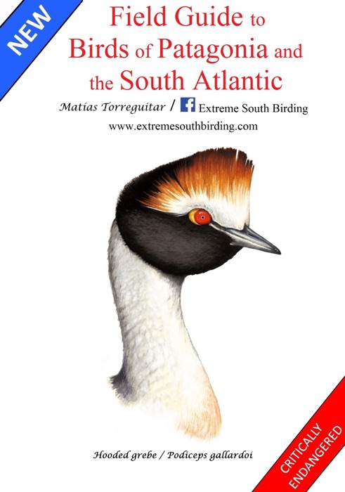 Field Guide to Birds of Patagonia and the South Atlantic