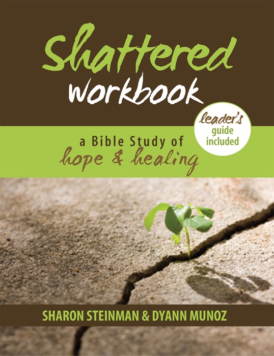 Shattered Workbook