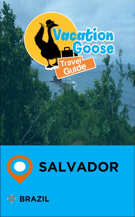 Vacation Goose Travel Guide Salvador Brazil