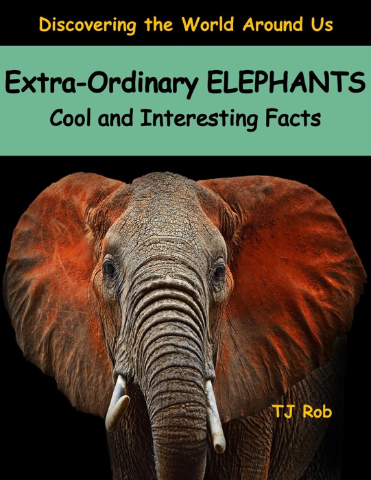 Extra-Ordinary Elephants