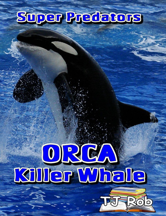 Orca Killer Whale