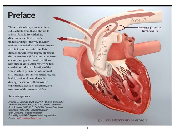 ‎Patent Ductus Arteriosus on Apple Books