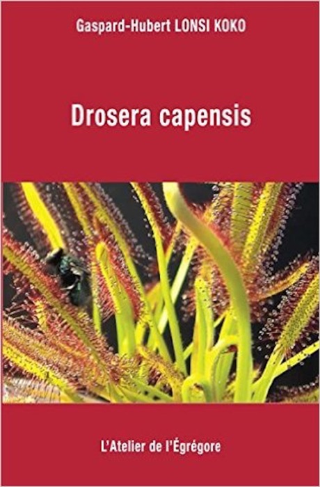 Drosera capensis